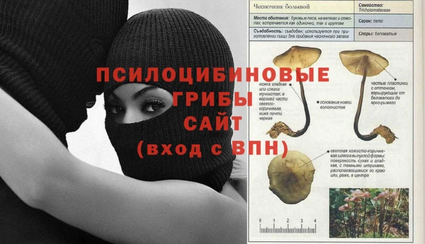 mix Аркадак