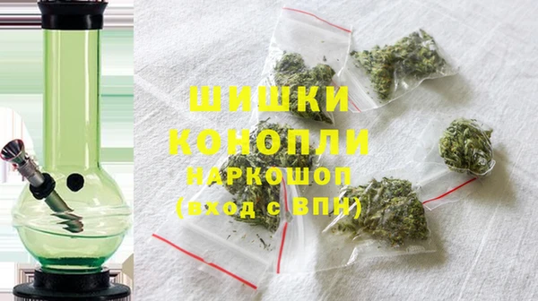 прущие грибы Арсеньев