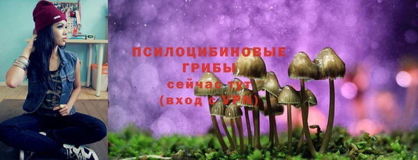 mix Аркадак