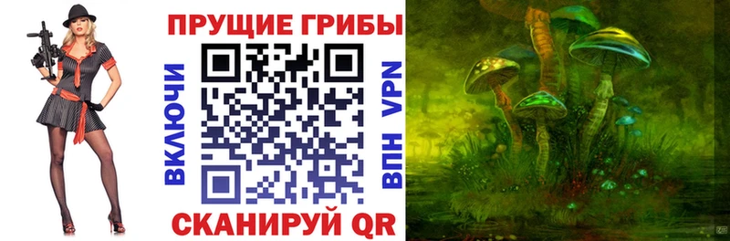 Псилоцибиновые грибы GOLDEN TEACHER  Макушино 